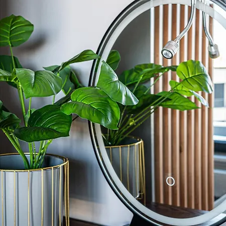 Gogh - Billberry Gdynia